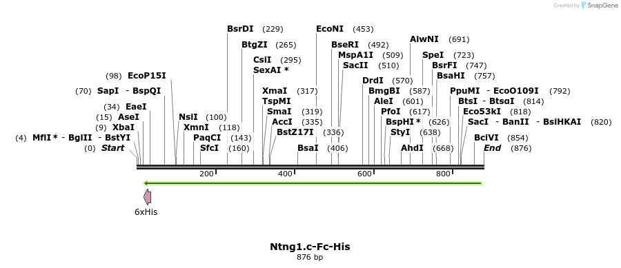 139131_map