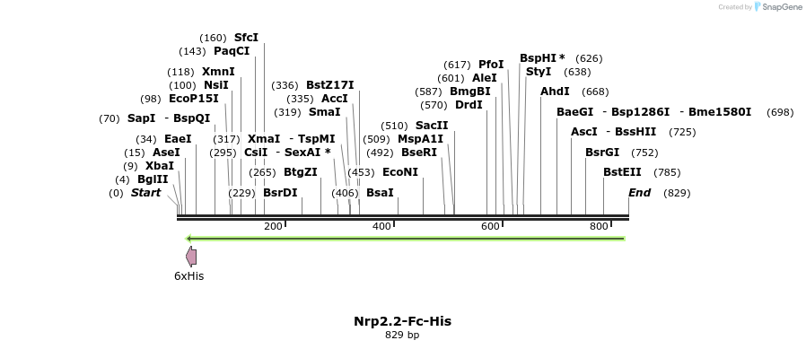139134_map