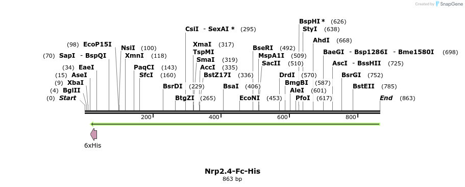 139136_map
