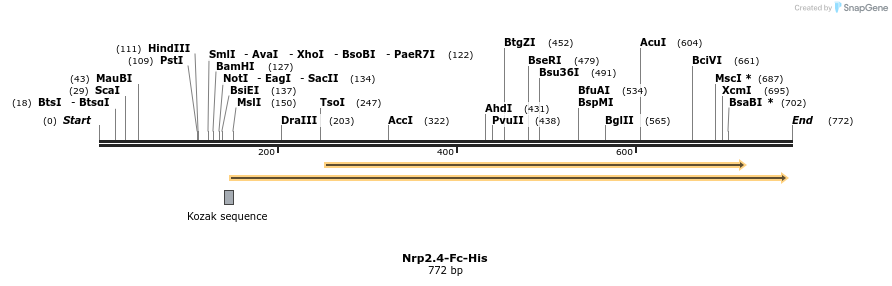 139137_map