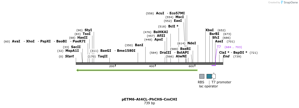 139138_map