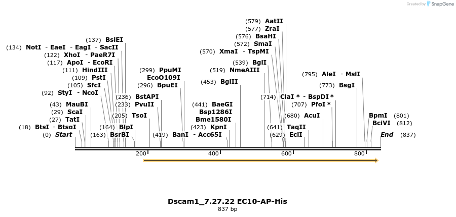 139141_map