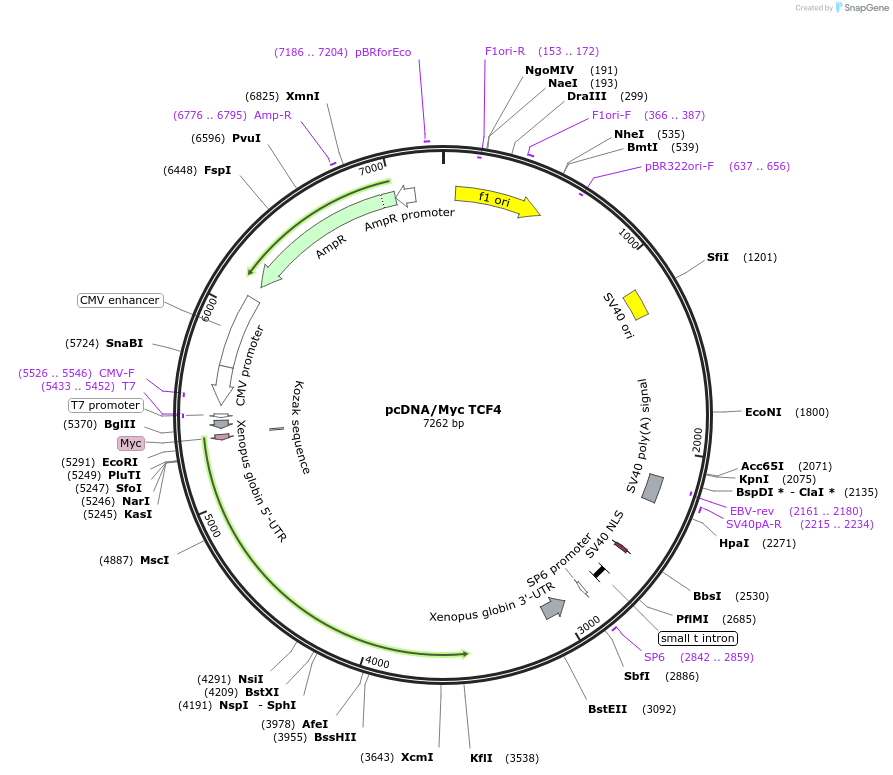 139143_map