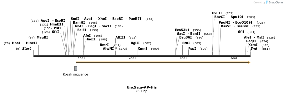 139144_map