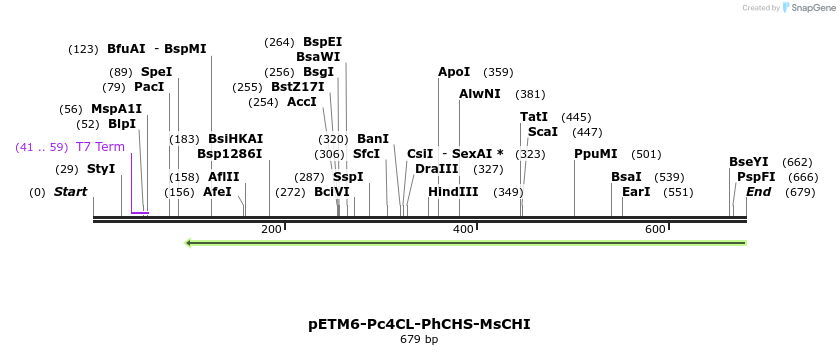 139156_map