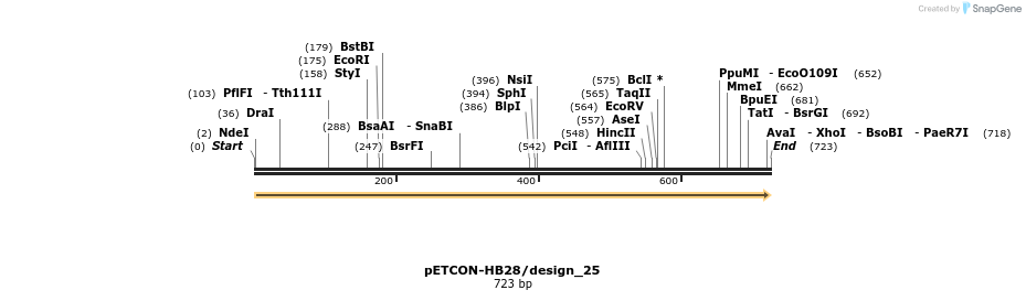 13916_map