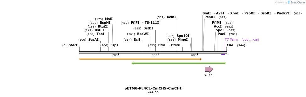 139168_map