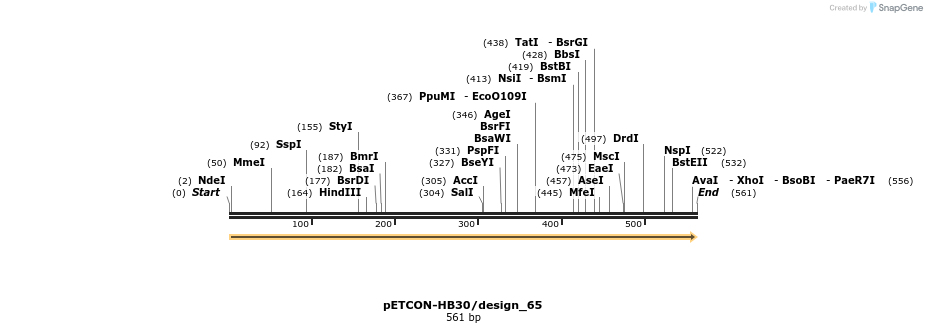 13917_map