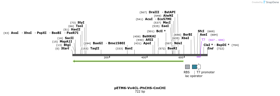 139170_map