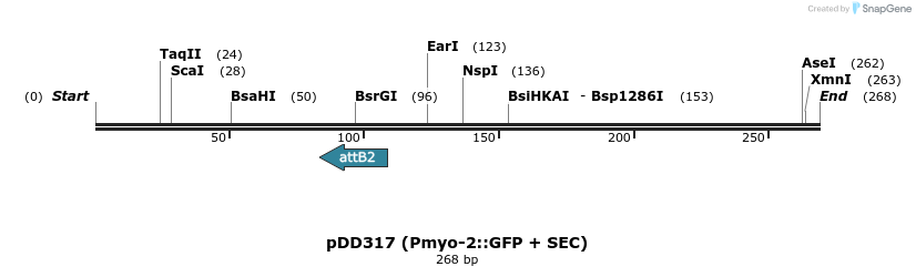 139172_map