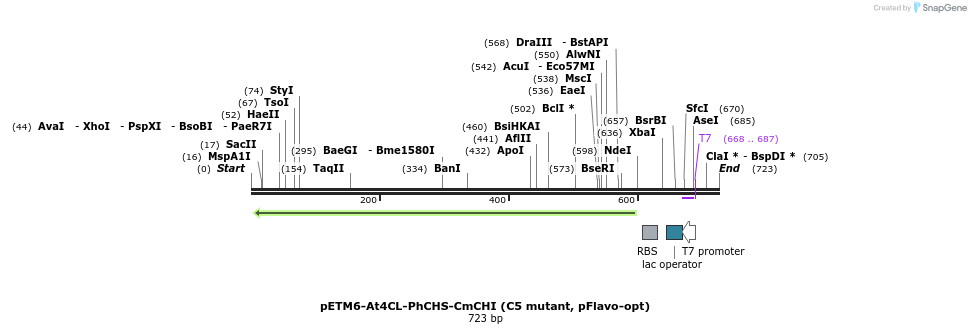 139176_map