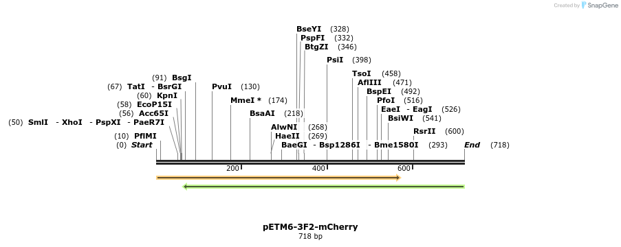 139177_map