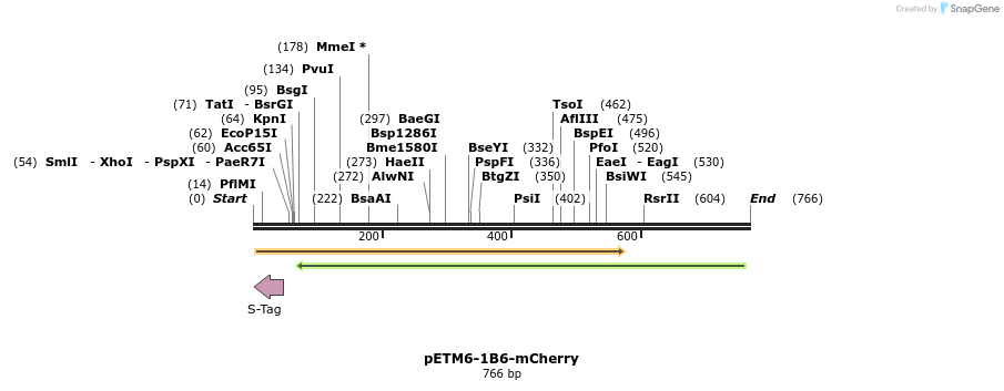 139180_map
