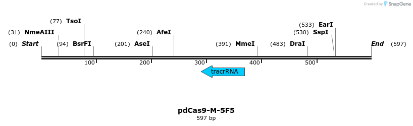 139191_map