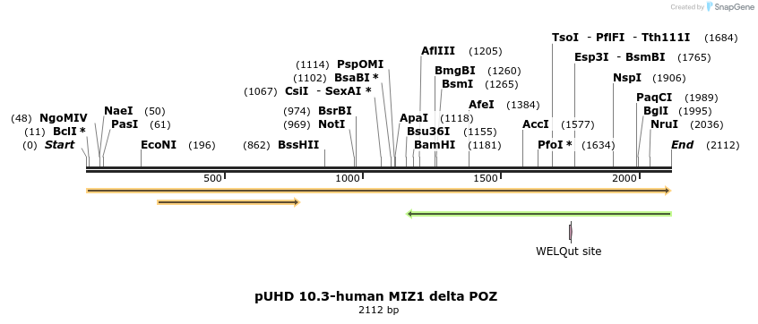 139205_map
