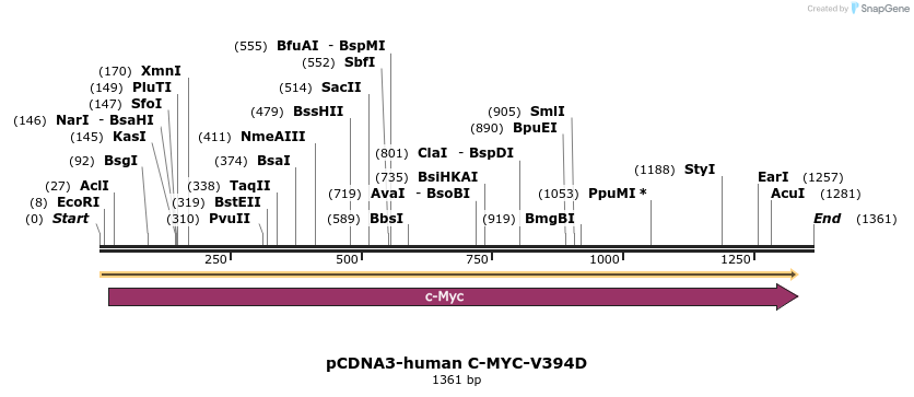 139207_map
