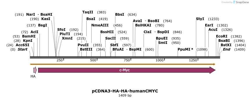 139209_map