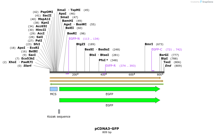 139210_map