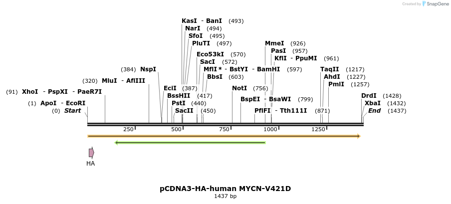 139211_map