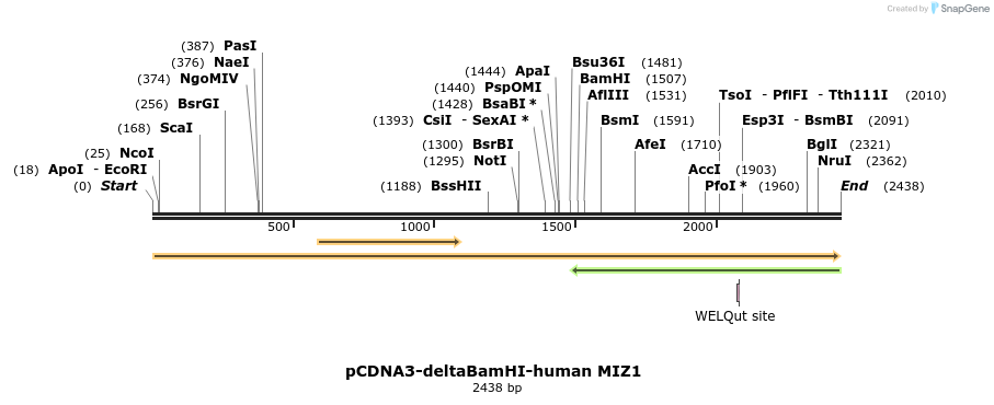 139212_map