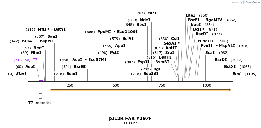 139214_map