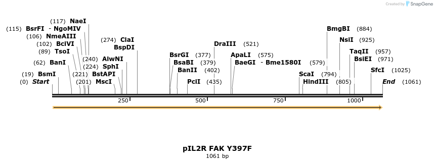 139216_map