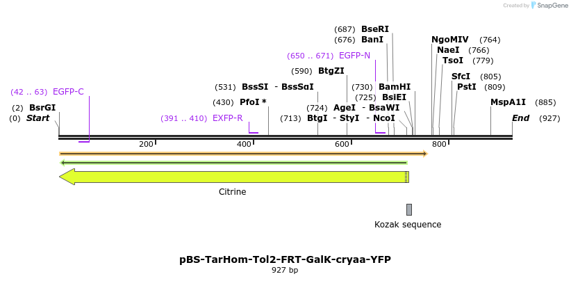 139223_map