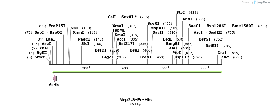 139225_map