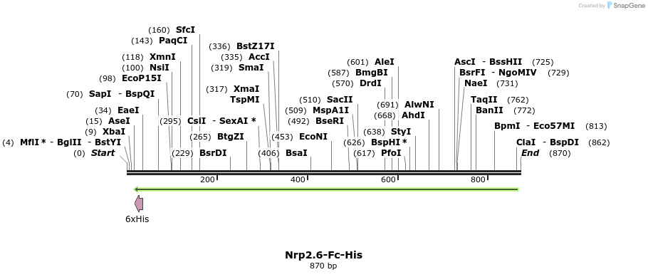 139228_map