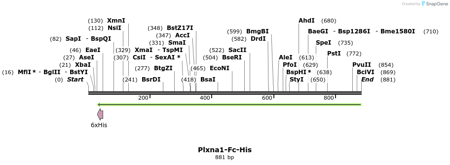 139237_map