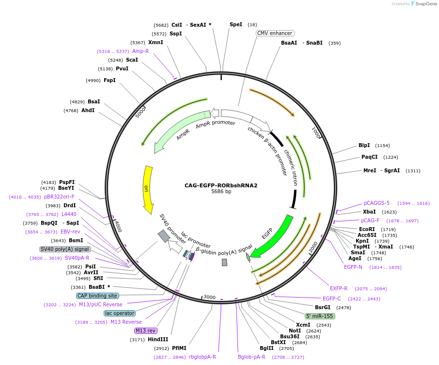 139257_map