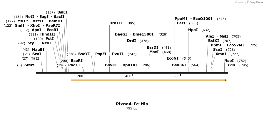139258_map