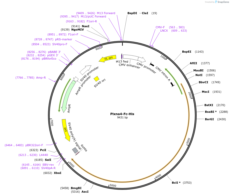 139260_map