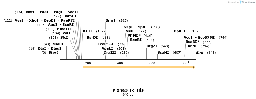 139263_map