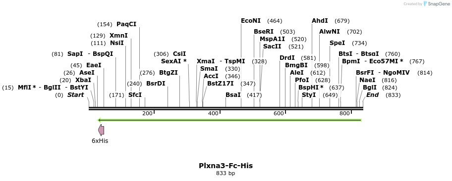 139264_map