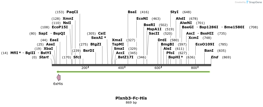 139273_map
