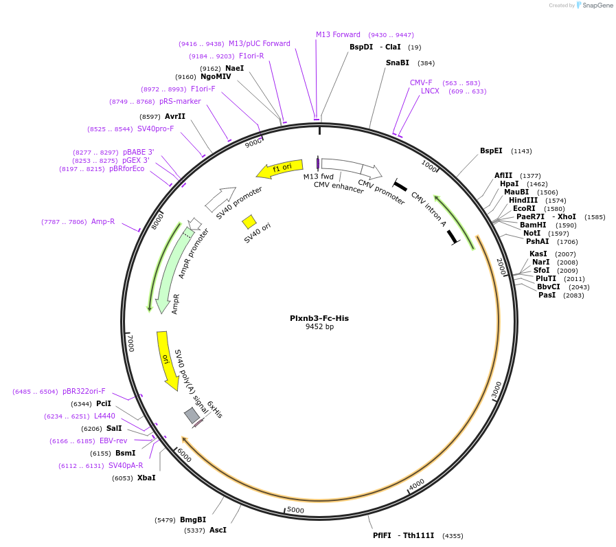 139274_map
