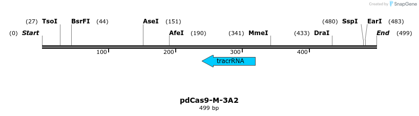 139285_map