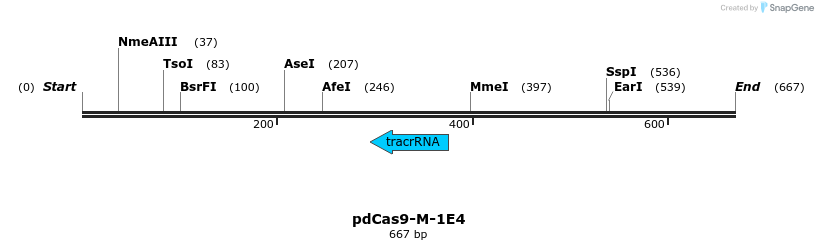 139286_map