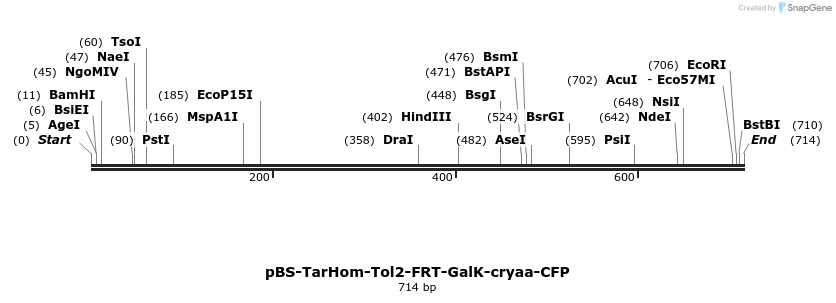139289_map