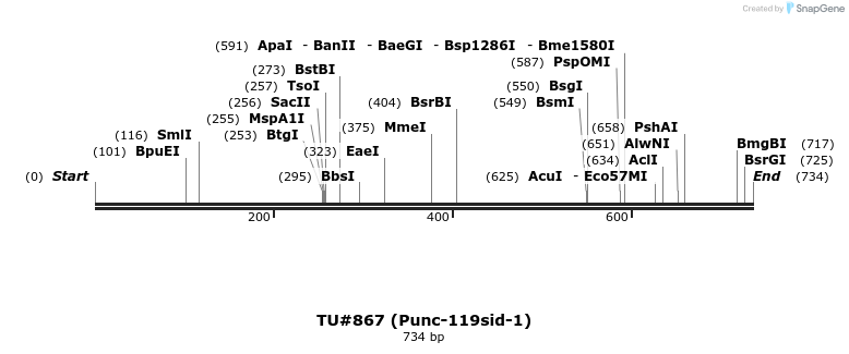 139293_map