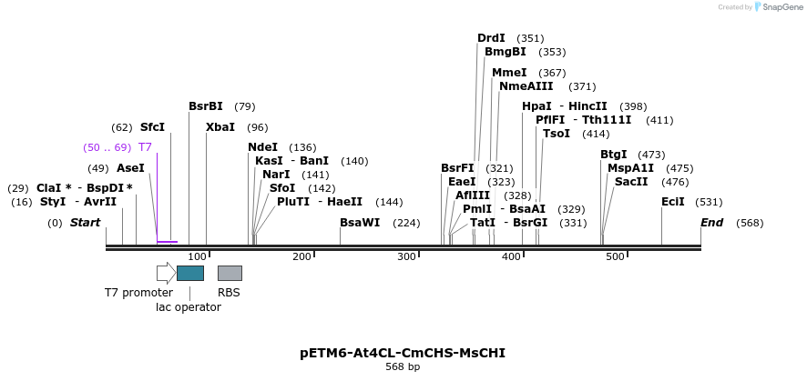 139295_map