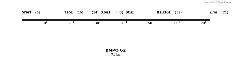 139306_map