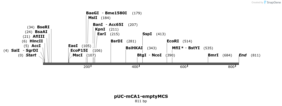 139307_map