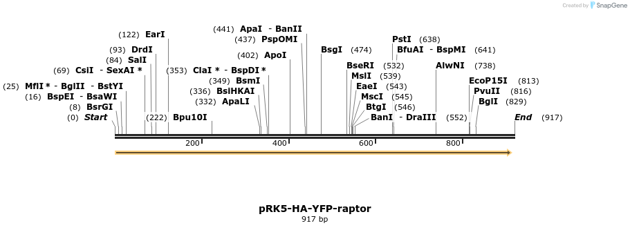 139322_map