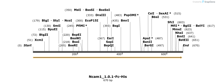 139323_map