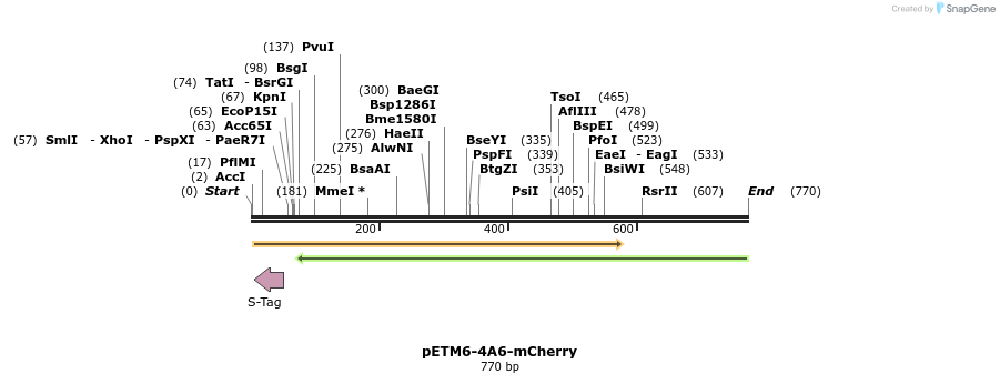 139331_map