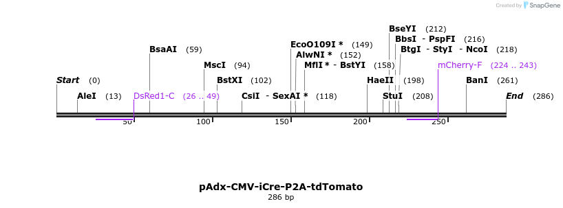 139338_map