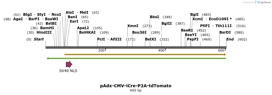 139339_map