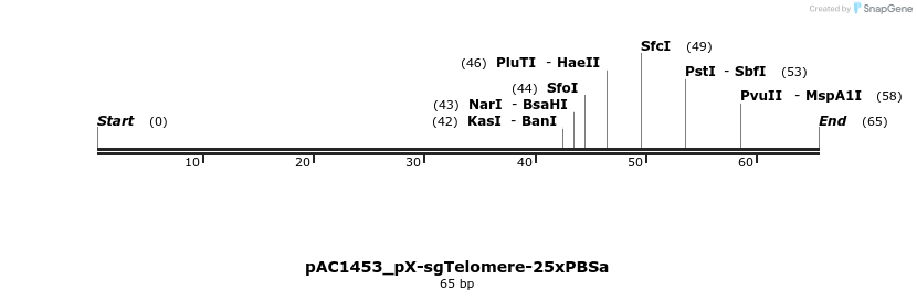 139342_map